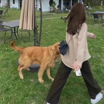 熊麻吉2